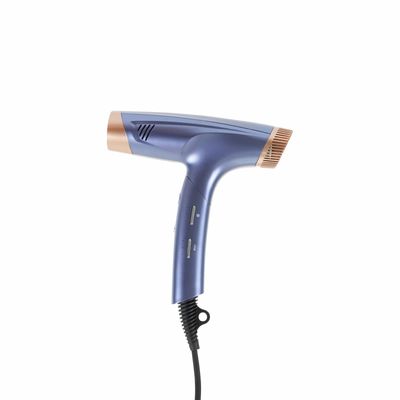 Concise Professional Foldable Hair Dryer DC Motor Fast Blow Dryer